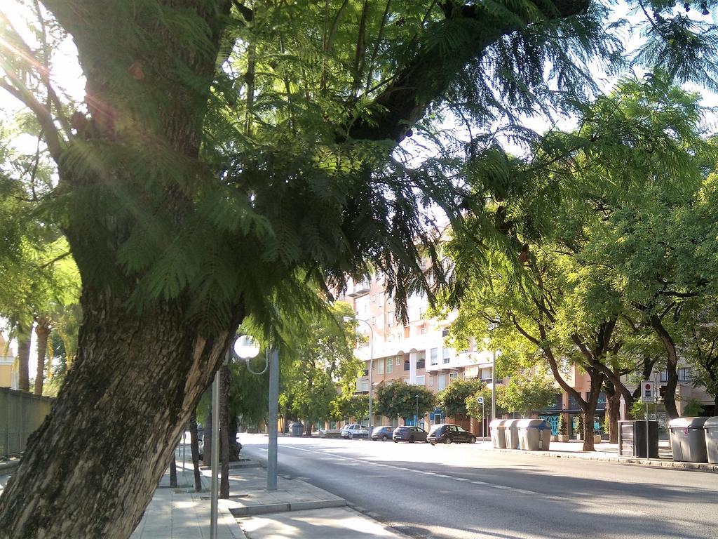 Apartamento Buhaira เซบีญา ภายนอก รูปภาพ